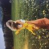 krissy02040608